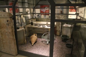 Naip Tümülüsü, tahminen Kral Kersepleptes'in oğlu Teres'e ait mezar odası, Tekirdağ Müzesi