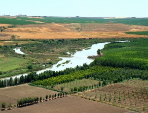 Dicle Nehri, Diyarbakır